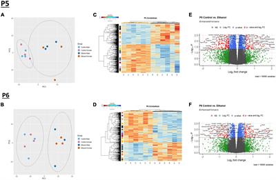 Ethanol-induced cerebellar transcriptomic changes in a postnatal model of fetal alcohol spectrum disorders: Focus on disease onset